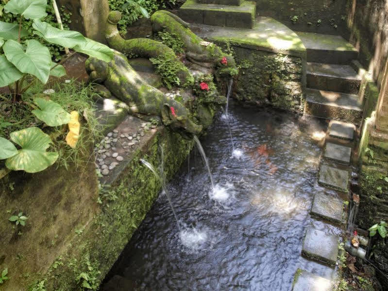 Bucu Beji Ubud Exterior foto