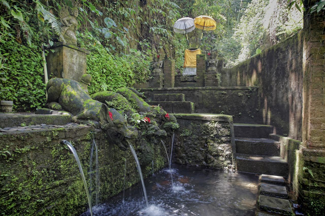 Bucu Beji Ubud Exterior foto