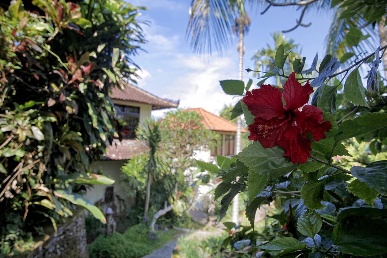 Bucu Beji Ubud Exterior foto