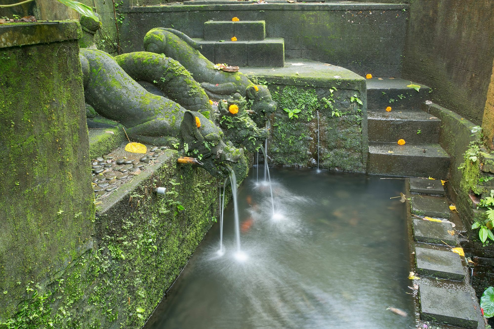 Bucu Beji Ubud Exterior foto